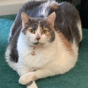 Meet your Posher, Christine